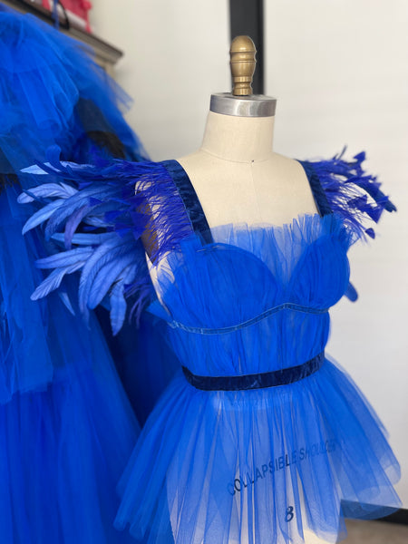 Royal Blue Feather and Sequin Dress