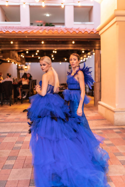 Royal Blue Tulle and Feather Dress