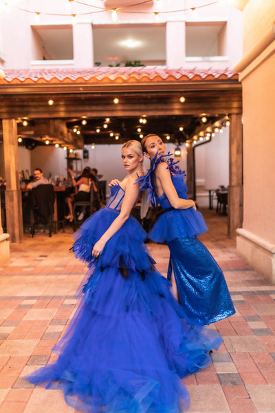 Royal Blue Tulle and Feather Dress
